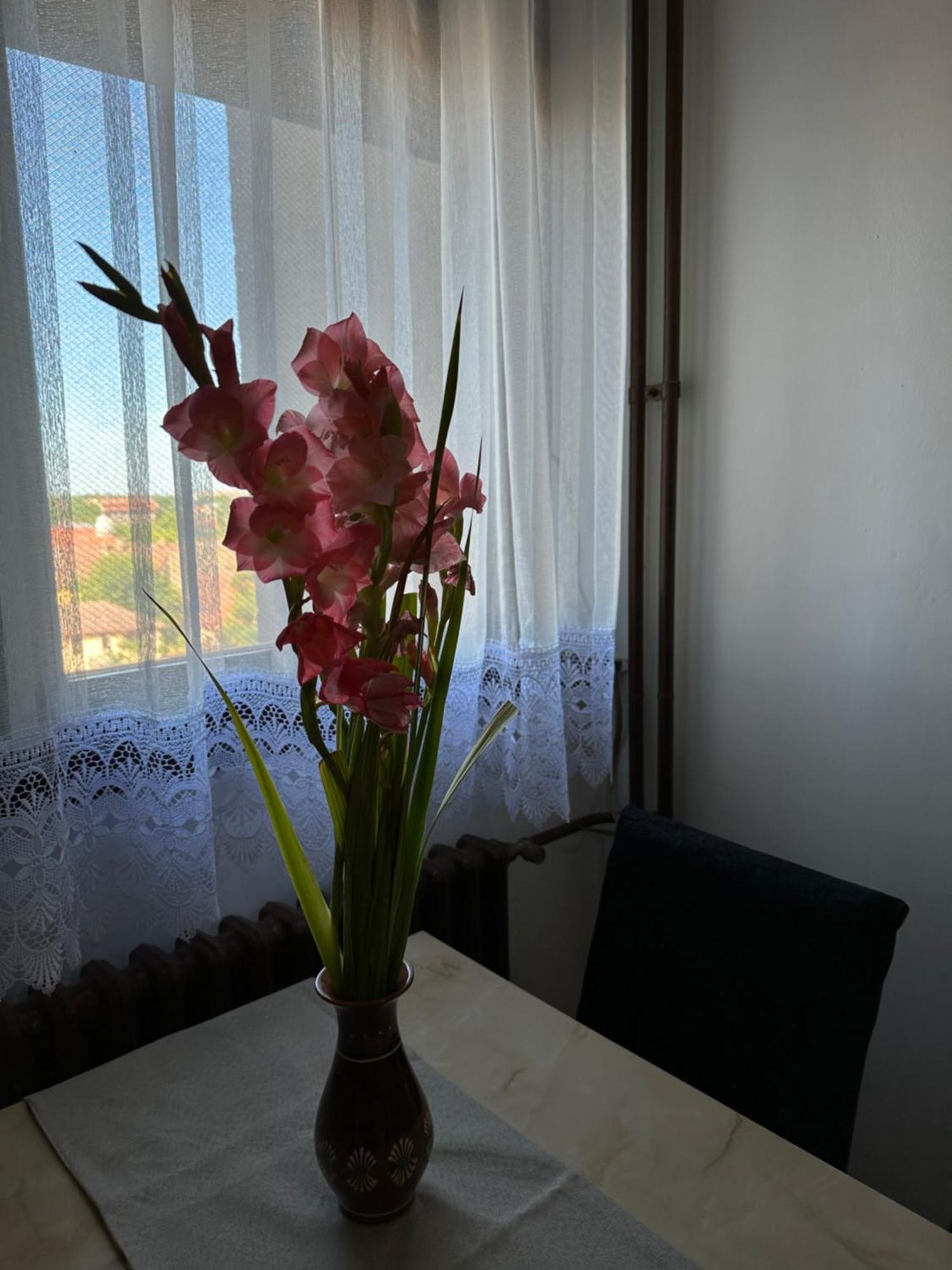 Apartment Tamaris
